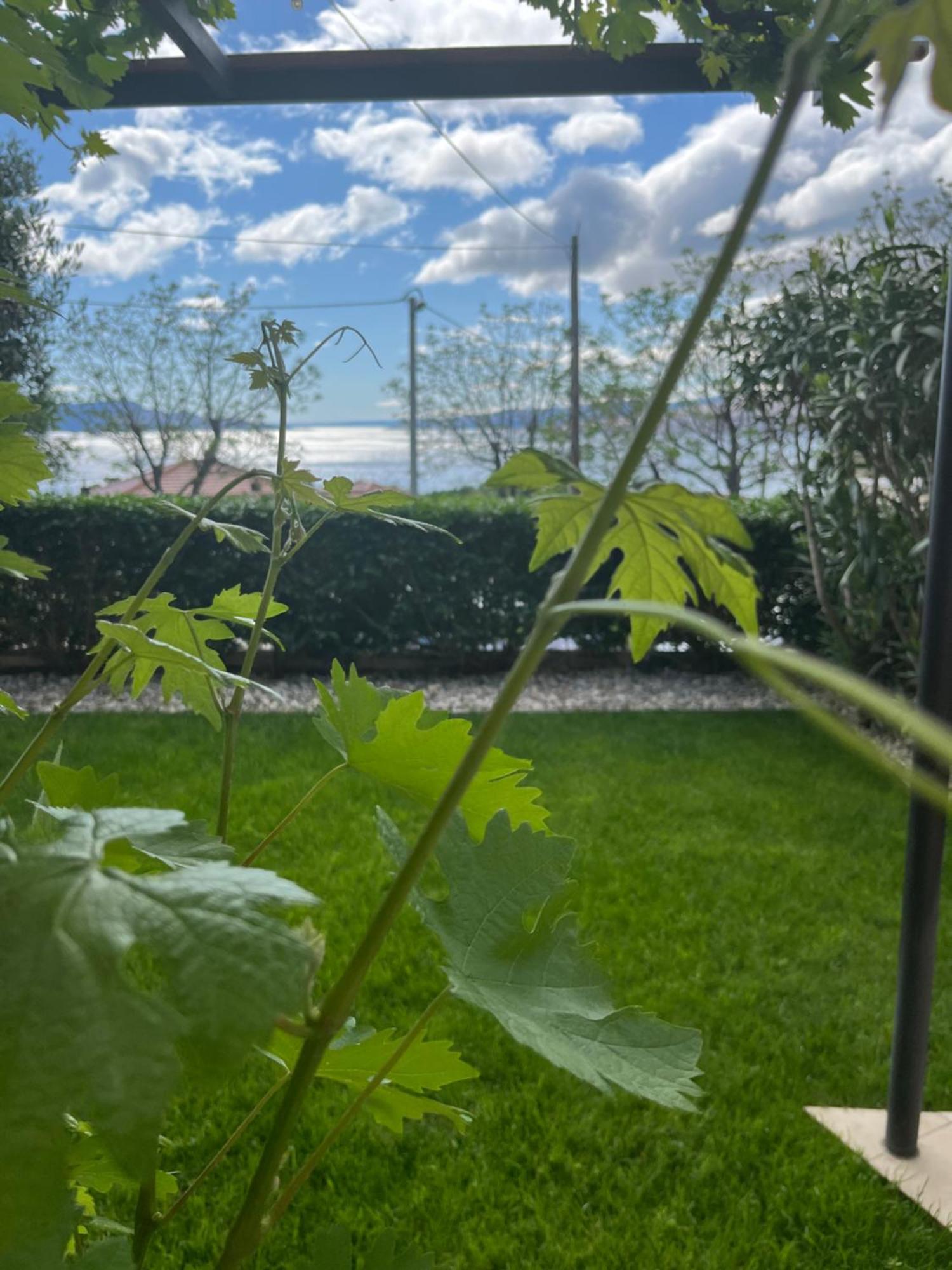 Apartman Mia Senj  Dış mekan fotoğraf